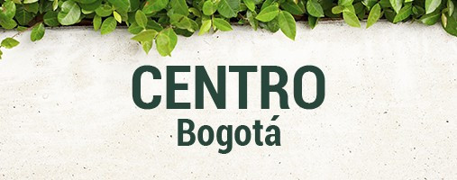 CENTRO BOGOTÁ - DOMICILIOS (312) 529 60 79