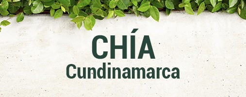 CHÍA CUNDINAMARCA - DOMICILIOS (312) 529 48 79