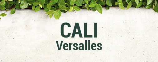 VERSALLES CALI -TIENDA FÍSICA