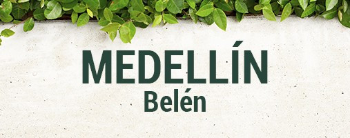 BELÉN MEDELLÍN - DOMICILIOS (312) 820 79 45