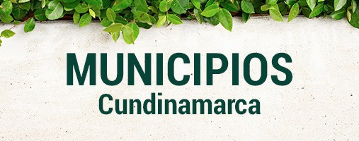 CUNDINAMARCA - DOMICILIOS (312) 529 35 69