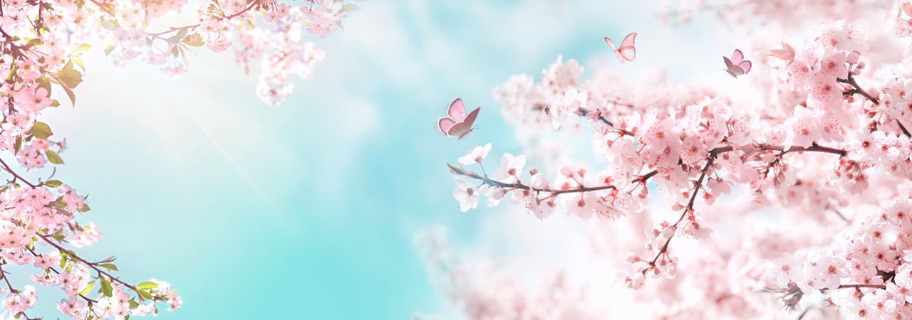 Equinoccio de Primavera