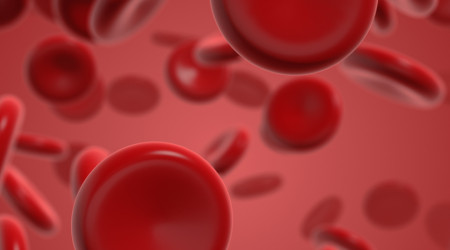 La sangre