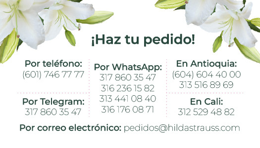 Pedidos